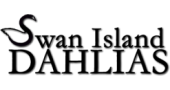 Swan Island Dahlias
