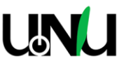 uNu Electronics